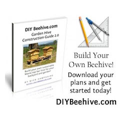 Warre Beehives