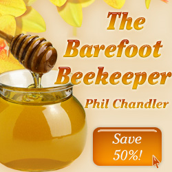 Top Bar Hives
